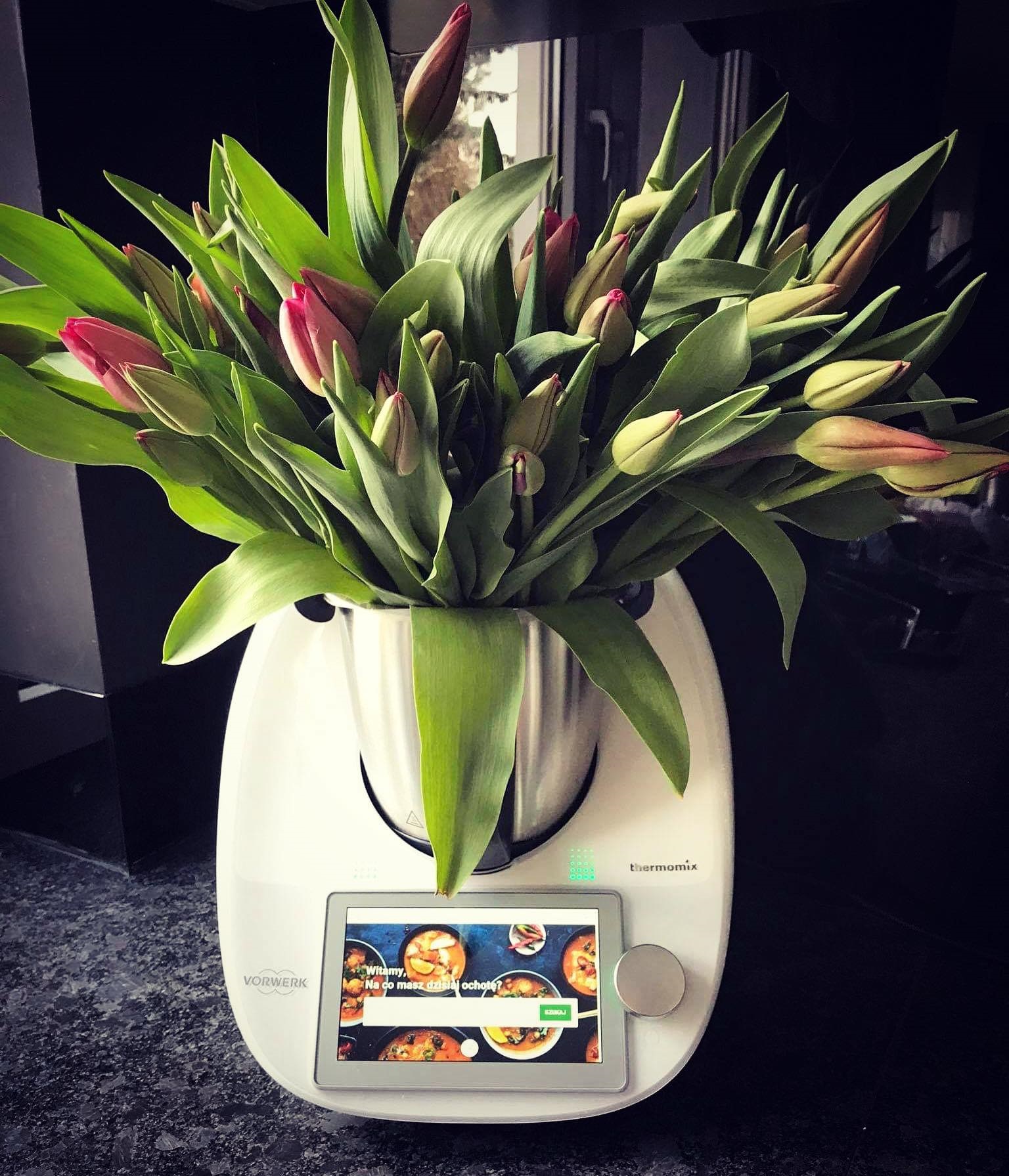 CZY WARTO KUPIĆ THERMOMIX ?